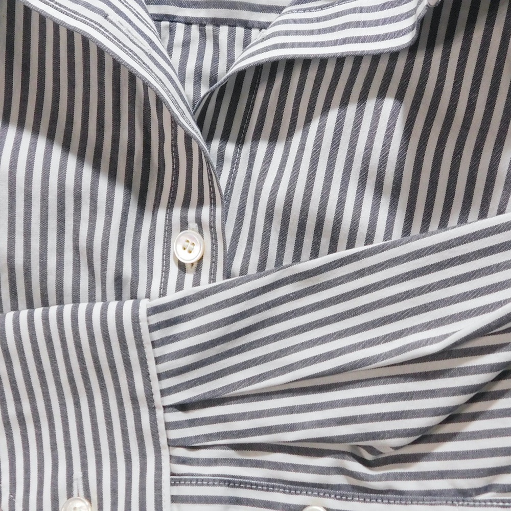 TALBOTS Pinstriped Women's Tailored Long Sleeve Shirt Size 14WP Wrinkle Free